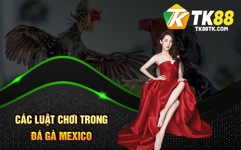 Các luật chơi trong Đá Gà Mexico