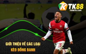 Giới Thiệu Về Các Loại Kèo Đồng Banh