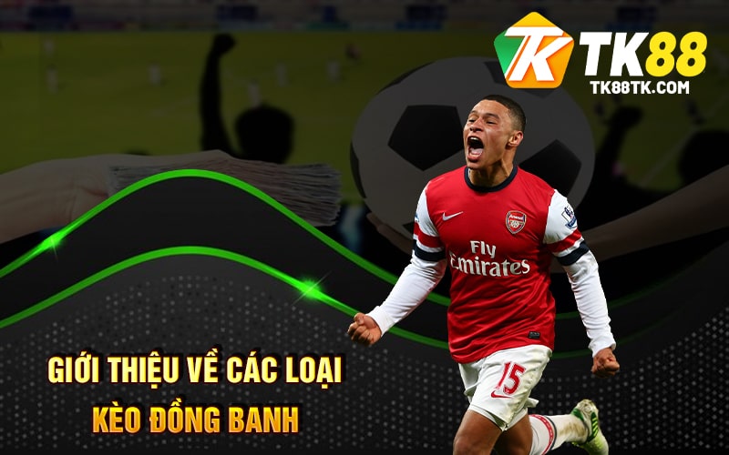Giới Thiệu Về Các Loại Kèo Đồng Banh