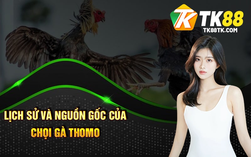 Lịch sử và nguồn gốc của Chọi Gà Thomo