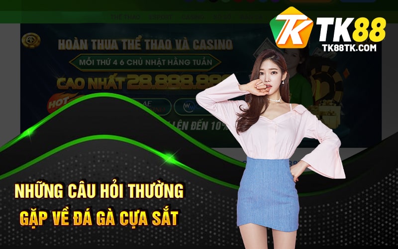 Những Câu Hỏi Thường Gặp Về Đá Gà Cựa Sắt